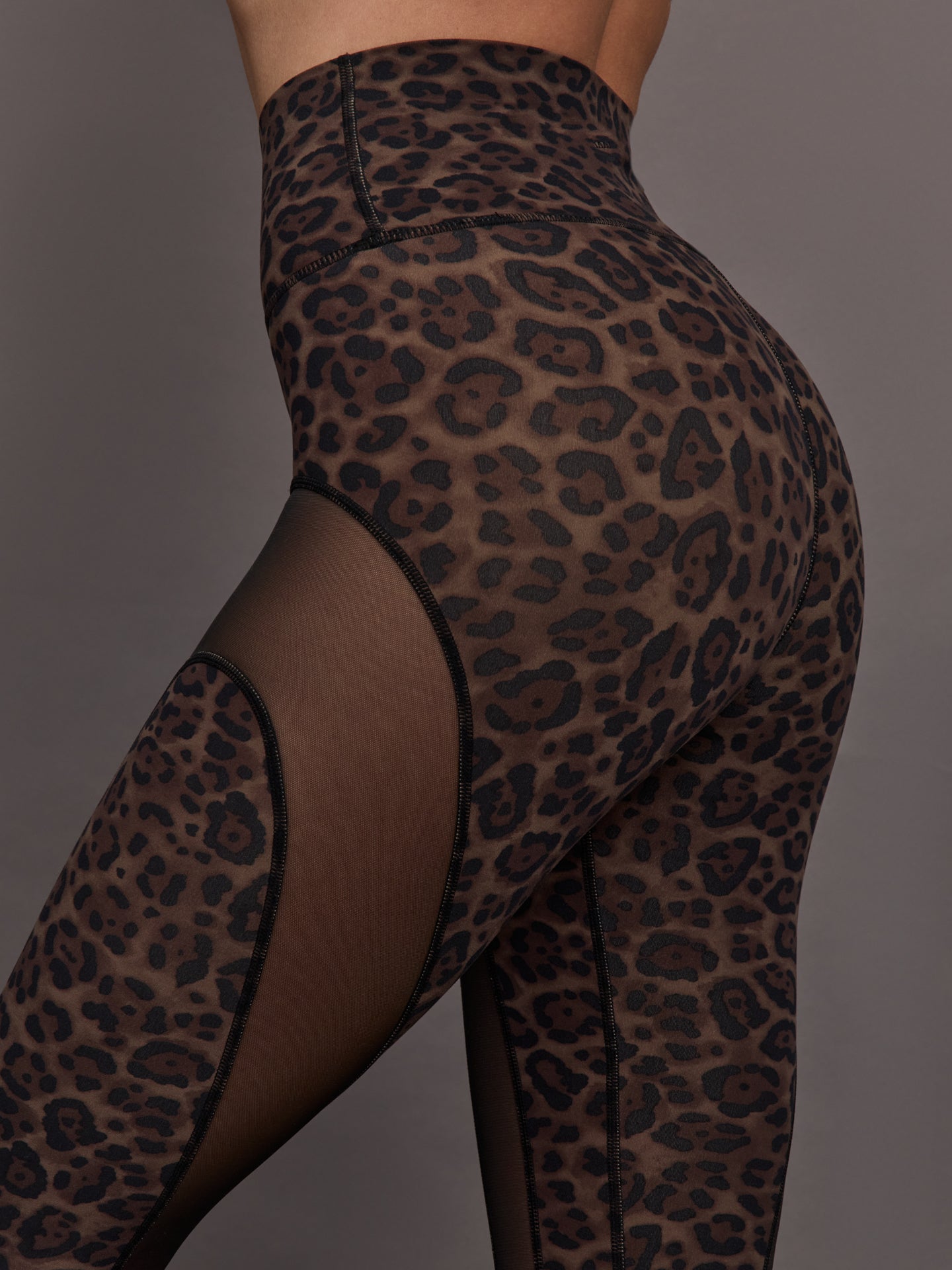 Sheer Spliced Legging in Melt - Leopard Print